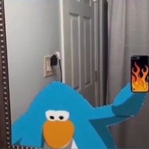 Meet your Posher, Loren